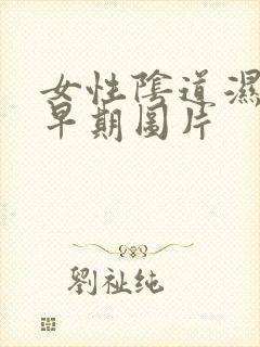 女性阴道湿锐疣早期图片封面