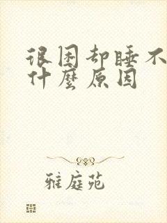 很困却睡不着是什么原因