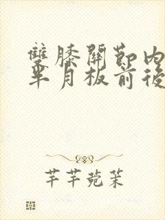 双膝关节内外侧半月板前后角变性