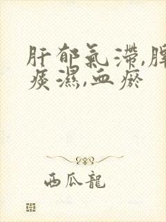 肝郁气滞,脾虚痰湿,血瘀