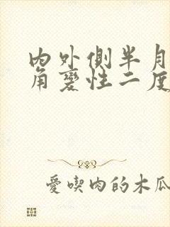 内外侧半月板后角变性二度