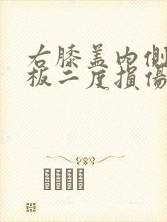 右膝盖内侧半月板二度损伤怎么治