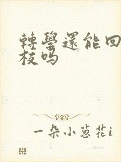 转学还能回原学校吗封面