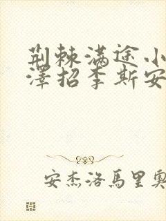 荆棘满途小说李泽招李斯安封面