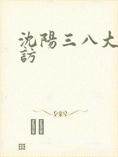 沈阳三八大案采访
