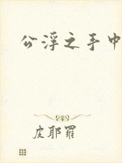 公浮之手中字5