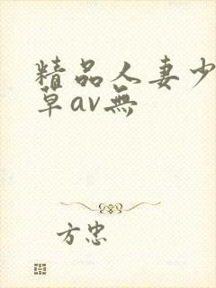精品人妻少妇嫩草av无