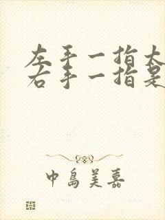 左手一指太行山右手一指是吕梁是什么歌