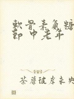 软骨素氨糖 关节 中老年