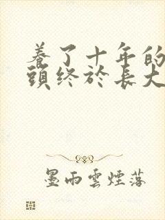 养了十年的小丫头终于长大了