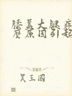 膝盖大腿疼痛什么原因引起的