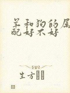 羊和狗的属相婚配好不好封面