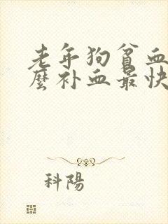 老年狗贫血吃什么补血最快封面