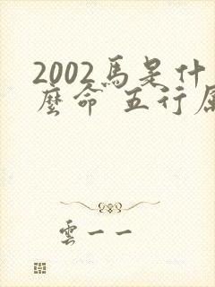 2002马是什么命 五行属什么