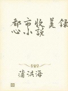 都市收美录宁素心小说