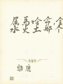 属马啥命,金木水火土哪个?