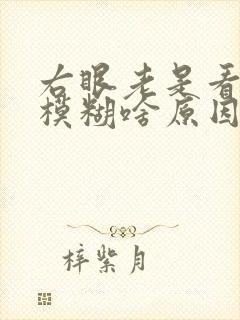 右眼老是看东西模糊啥原因