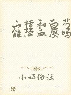 山楂和白芍泡水能降血压吗
