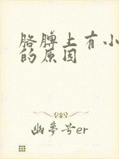 胳膊上有小块癣的原因
