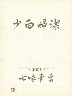 少白妇洁封面