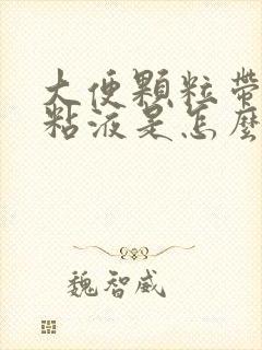 大便颗粒带白色粘液是怎么回事