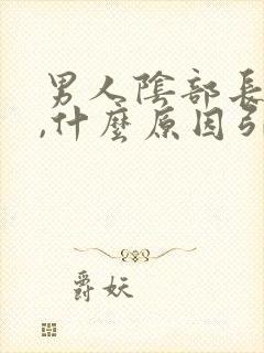 男人阴部长阴虱,什么原因引起的呢