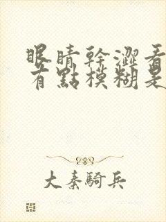 眼睛干涩看东西有点模糊是怎么回事封面
