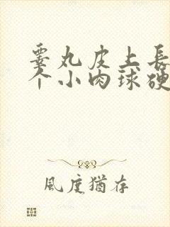 睾丸皮上长了一个小肉球硬硬的