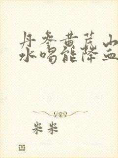 丹参黄芪山楂泡水喝能降血压吗
