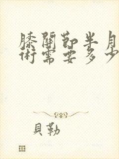 膝关节半月板手术需要多少钱