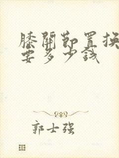 膝关节置换大概要多少钱封面