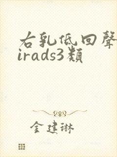 右乳低回声区birads3类