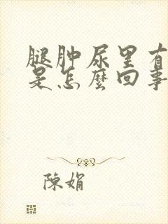 腿肿尿里有血丝是怎么回事封面