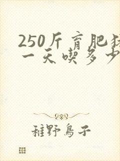 250斤育肥猪一天吃多少料