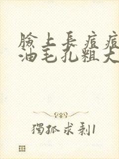 脸上长痘痘爱出油毛孔粗大怎么办