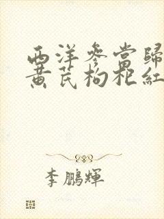 西洋参当归党参黄芪枸杞红枣泡水喝的功效封面