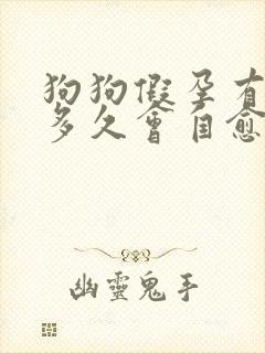 狗狗假孕有奶水多久会自愈