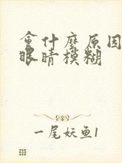 会什么原因引起眼睛模糊