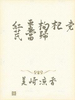 红枣枸杞党参黄芪当归