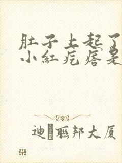 肚子上起了一些小红疙瘩是怎么回事封面