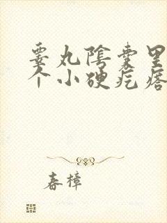 睾丸阴囊里面有个小硬疙瘩