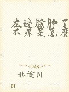 左边脸肿了不疼不痒是怎么回事封面