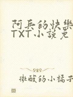 阿兵的快乐生活TXT小说免费阅读全章
