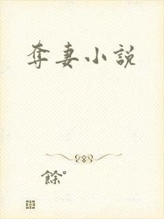 夺妻小说