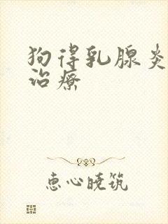 狗得乳腺炎怎样治疗
