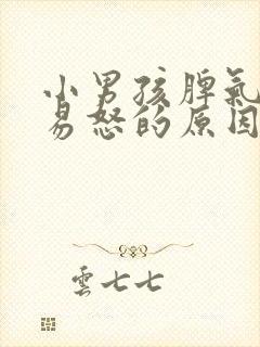 小男孩脾气暴躁易怒的原因