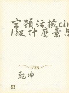 宫颈活检cin1级什么意思封面