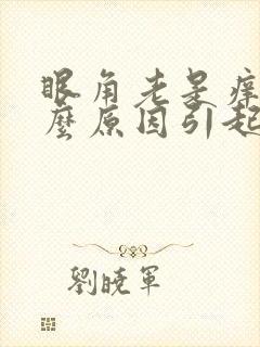 眼角老是痒是什么原因引起的