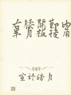 右膝关节内外侧半月板后角变性