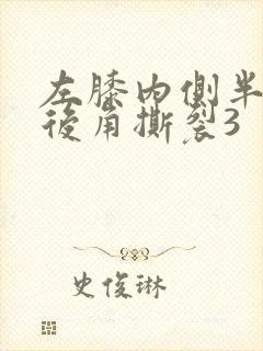 左膝内侧半月板后角撕裂3